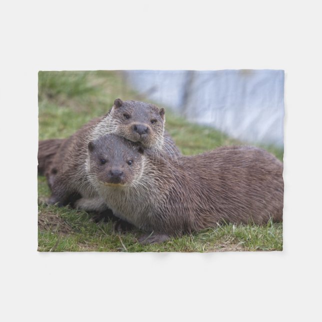 Otterly dans la couverture d'ouatine d'amour (Devant (Horizontal))