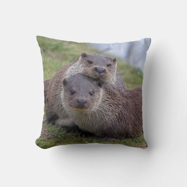 Otterly in Love Coussin (Recto)