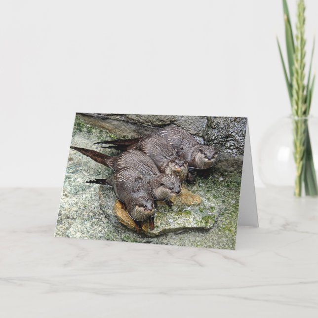 Otters 4 dans une rangée Carte de voeux (Devant)