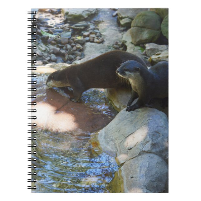 Otters Boire, Carnet (Devant)