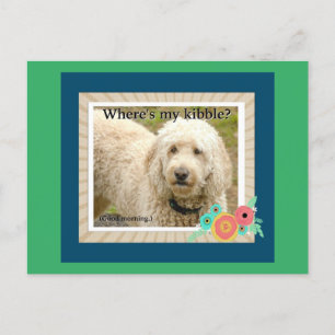 Où est Ma Kibble, Carte Postale Bonjour