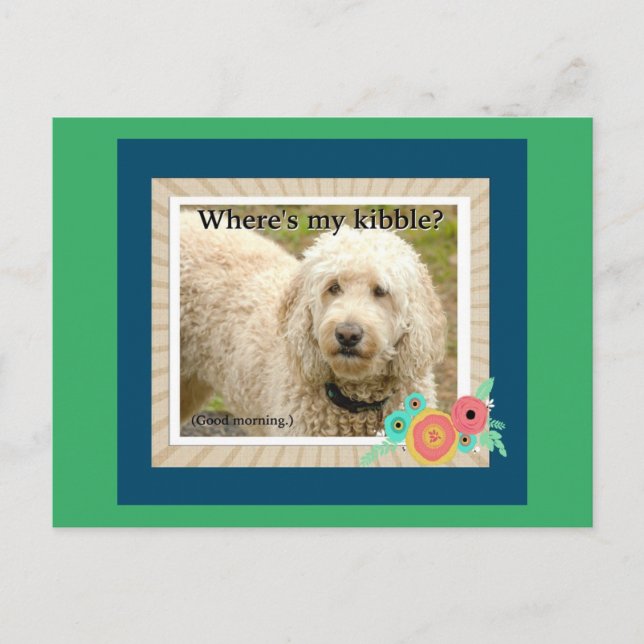 Où est Ma Kibble, Carte Postale Bonjour (Devant)