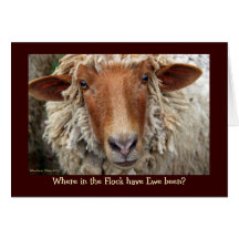 Où Ewe était dans le troupeau ?