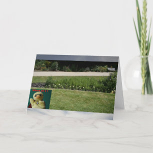 Où suis-je ? Carte #5b