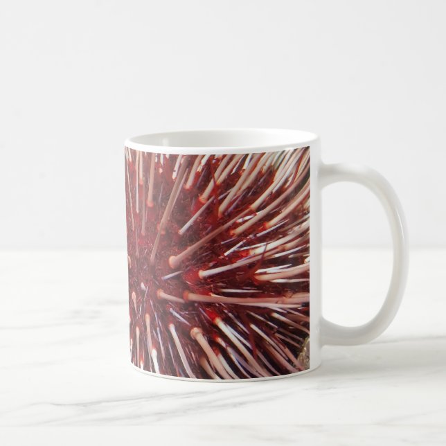 Ourchine géante de la mer Rouge - Mug (Droite)