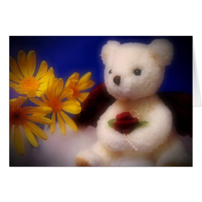 Ours angélique (Devant horizontal)