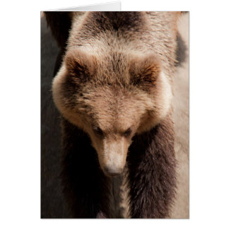 ours Brown