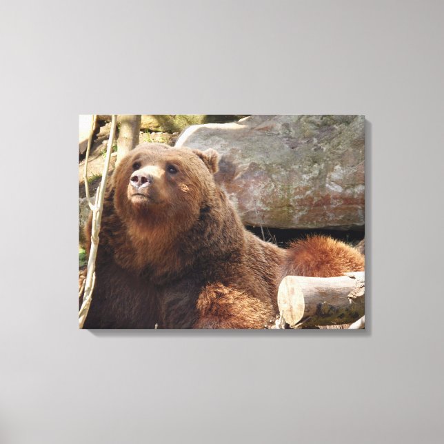 ours Brown au zoo vue impression de toile (Recto)