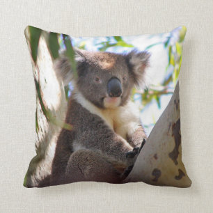 Ours de Koala dans un arbre Oreiller décoratif ani