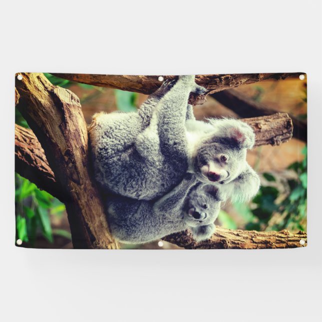 OURS DE KOALA ET BANNIÈRE DE CUB AVEC GROMMETS (Horizontal)