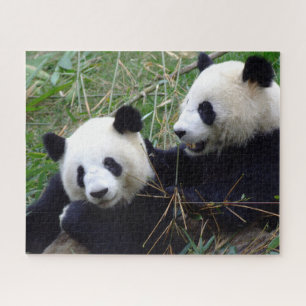 Ours de panda géants Manger Bambou & Jouer puzzle