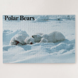 Ours dormant Polaire Puzzle