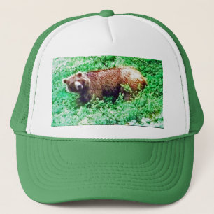 Ours en Alaska, sur le casquette