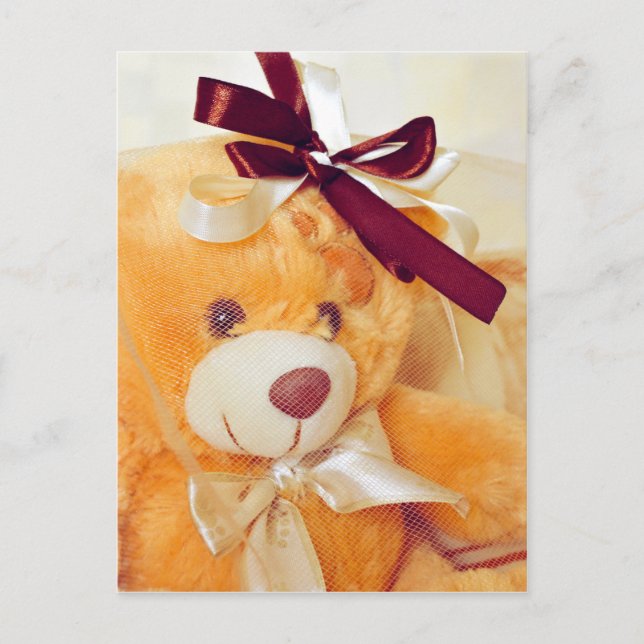 Ours en peluche avec voile et carte postale (Devant)