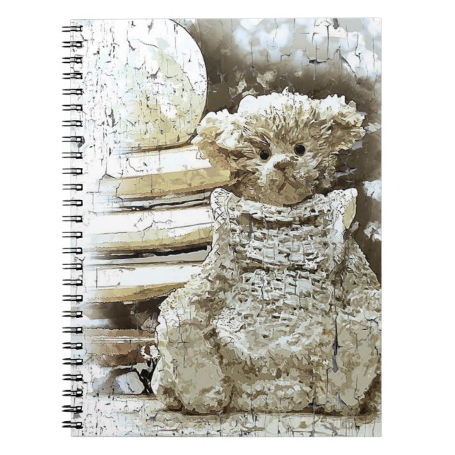 Ours en peluche vintage et livres (Devant)