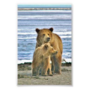 Ours grizzli photo 6x4