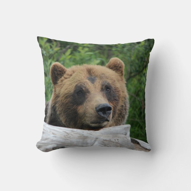 Ours Grizzly Coussin de Lancement (Recto)