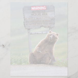 Ours Grizzly Joue Avec Un Panneau