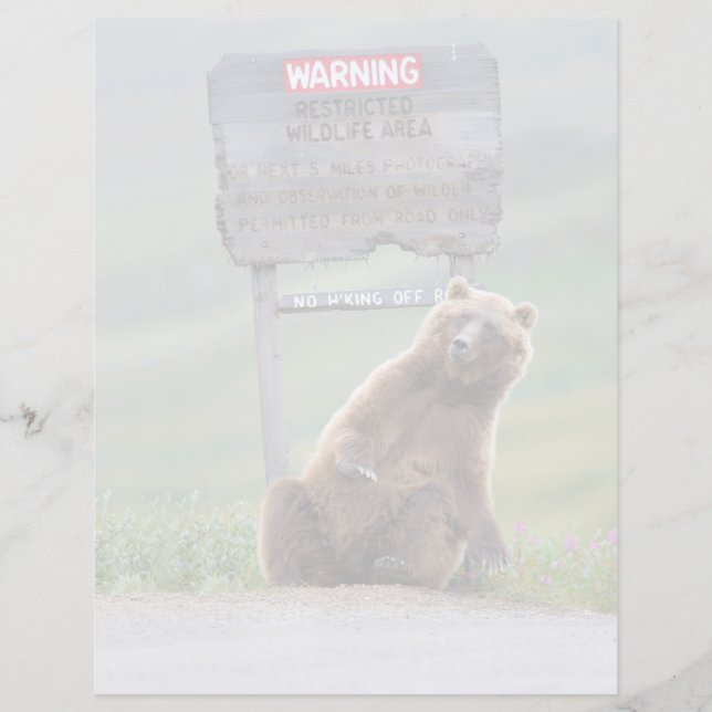 Ours Grizzly Joue Avec Un Panneau (Devant)