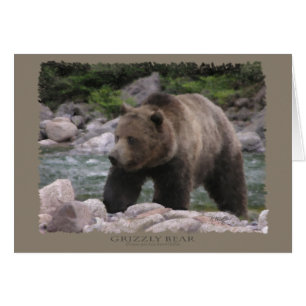 Ours grizzly - Pastels