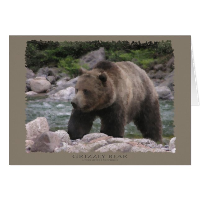 Ours grizzly - Pastels (Devant horizontal)