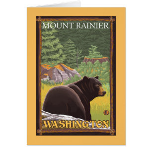 Ours noir dans la forêt - le mont Rainier,