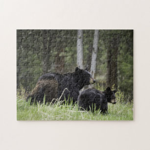 Ours noir de Yellowstone de puzzle
