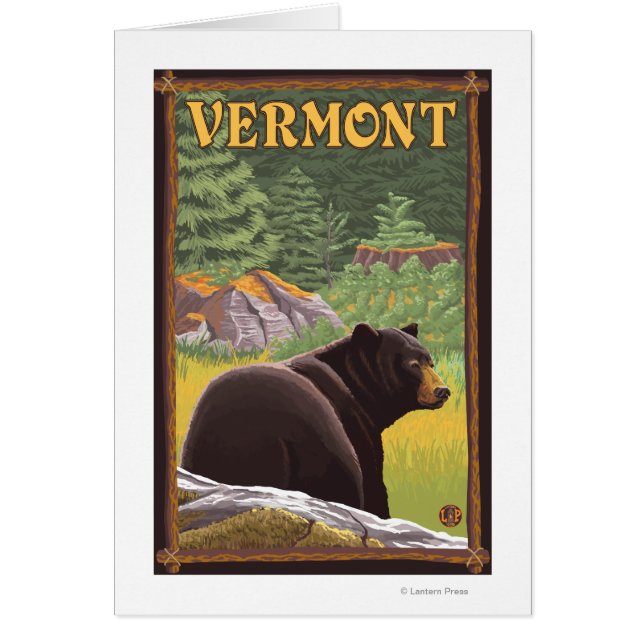 Ours noir du Vermont en forêt (Devant)