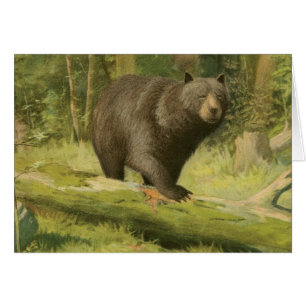 Ours noir sur un tronc d'arbre