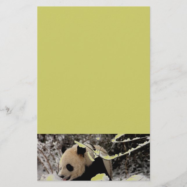 Ours Panda (Devant)