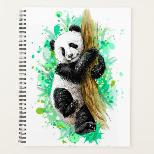 Ours Panda