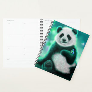 Ours Panda