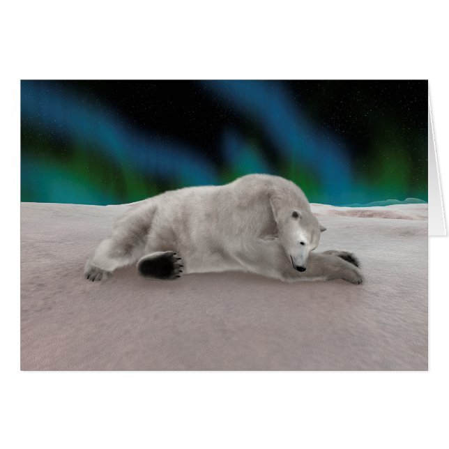 Ours polaire (Devant horizontal)