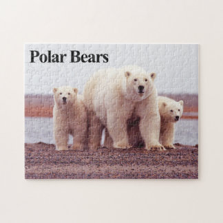 Ours polaire 12 Puzzle