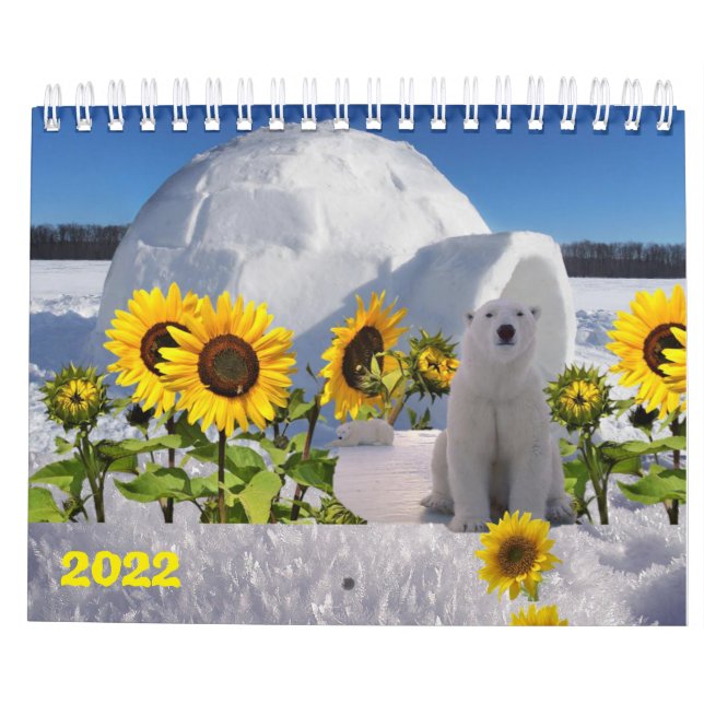 Ours polaire Calendrier 2022 (Dos)