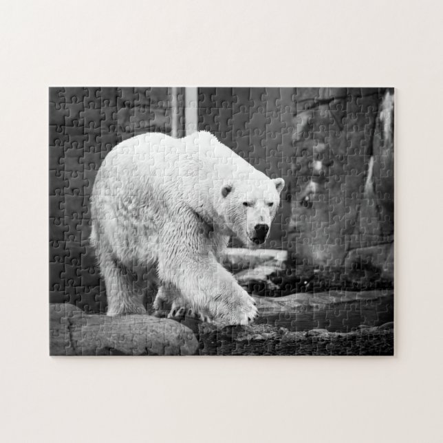 Ours polaire grandiose, puzzle (Horizontal)