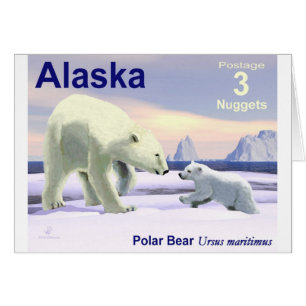 Ours Polaire - Mama Nez Meilleur