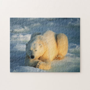 Ours polaire se faisant bronzer, Puzzle