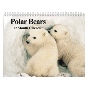 Ours polaires - Calendrier des 12 mois
