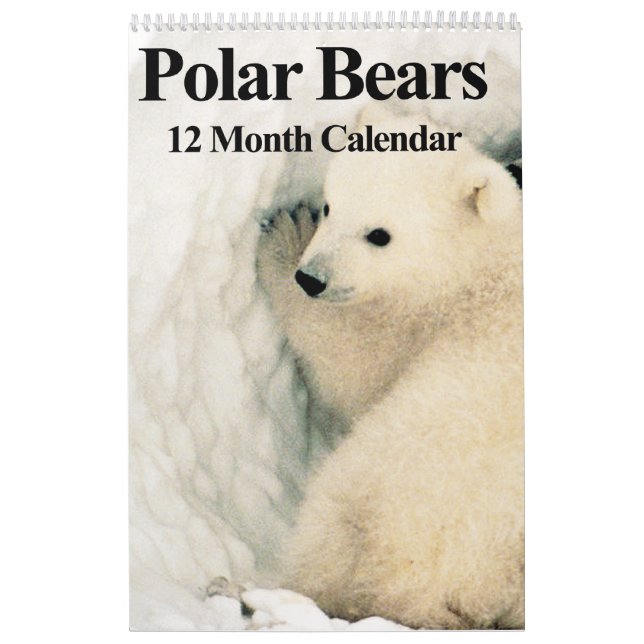 Ours polaires - Calendrier des 12 mois (Protection)
