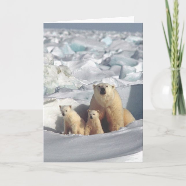 Ours polaires Carte de voeux blanche pour la faune (Devant)