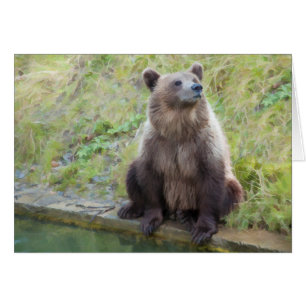 Ours : "Quelle est cette chose d'Owling de toute