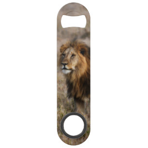Ouvrage de bouteille de vitesse de lion africain