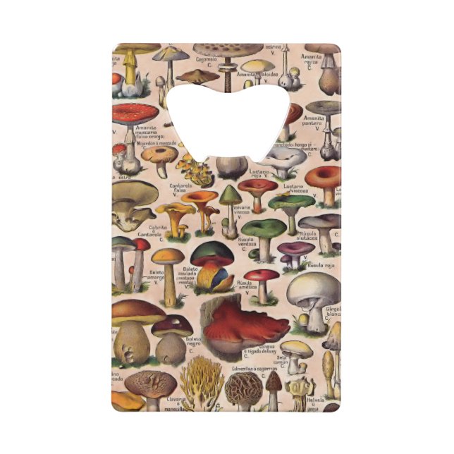 Ouvreur de bouteille vintage de guide de (Dos)