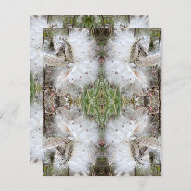 Ouvrir les pots d'algues | Graines avec soie | Scr (Devant / Derrière)