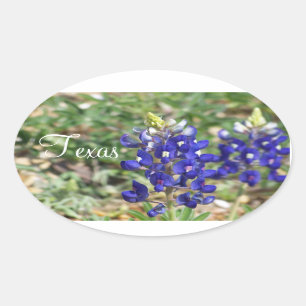 Ovale Beau Sticker Fleur sauvage Texas Bluebonnet