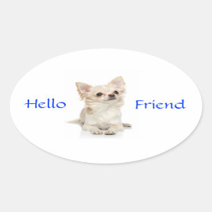 Ovale Bonjour ami Long Haired Chihuahua Sticker