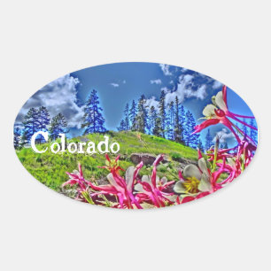 Ovale Colorado columbine sticker