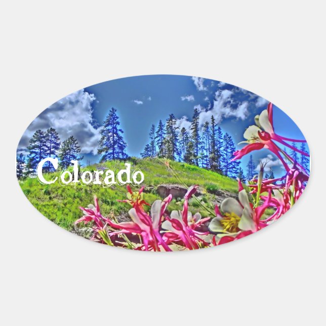 Ovale Colorado columbine sticker (Devant)