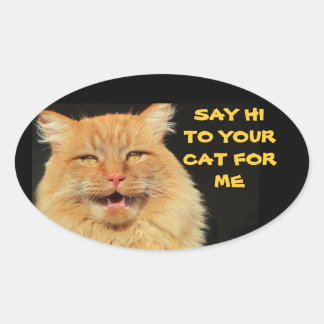 Ovale Dites Bonjour À Votre Chat Oval Sticker